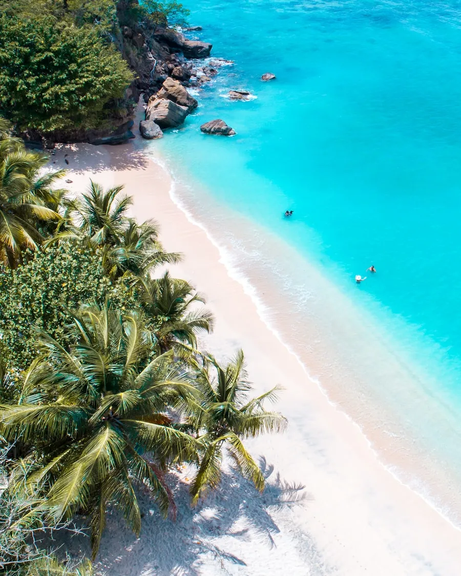Caribbean beach with turquoise water